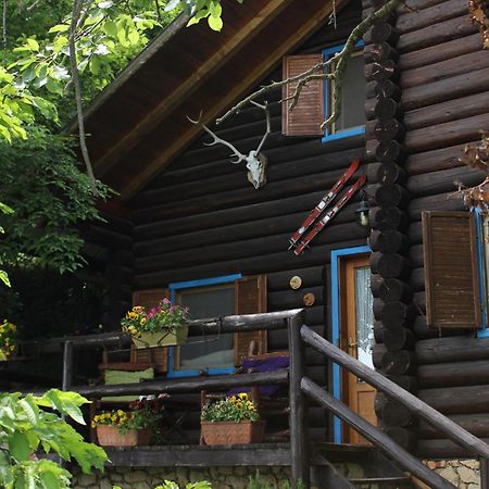 B&B Le Corone - Chalet Nel Bosco Cavalo Bagian luar foto