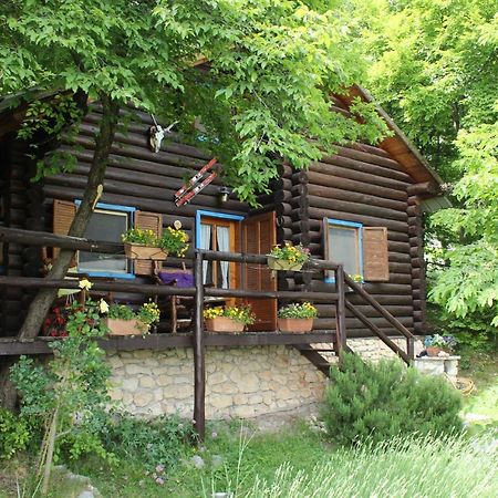B&B Le Corone - Chalet Nel Bosco Cavalo Bagian luar foto