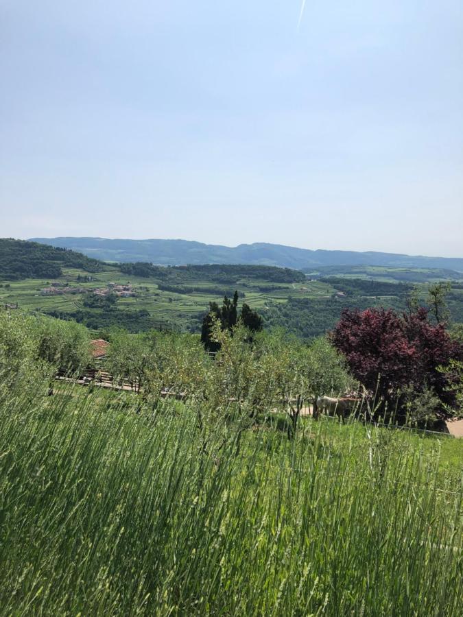 B&B Le Corone - Chalet Nel Bosco Cavalo Bagian luar foto