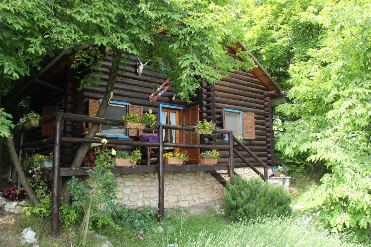 B&B Le Corone - Chalet Nel Bosco Cavalo Bagian luar foto