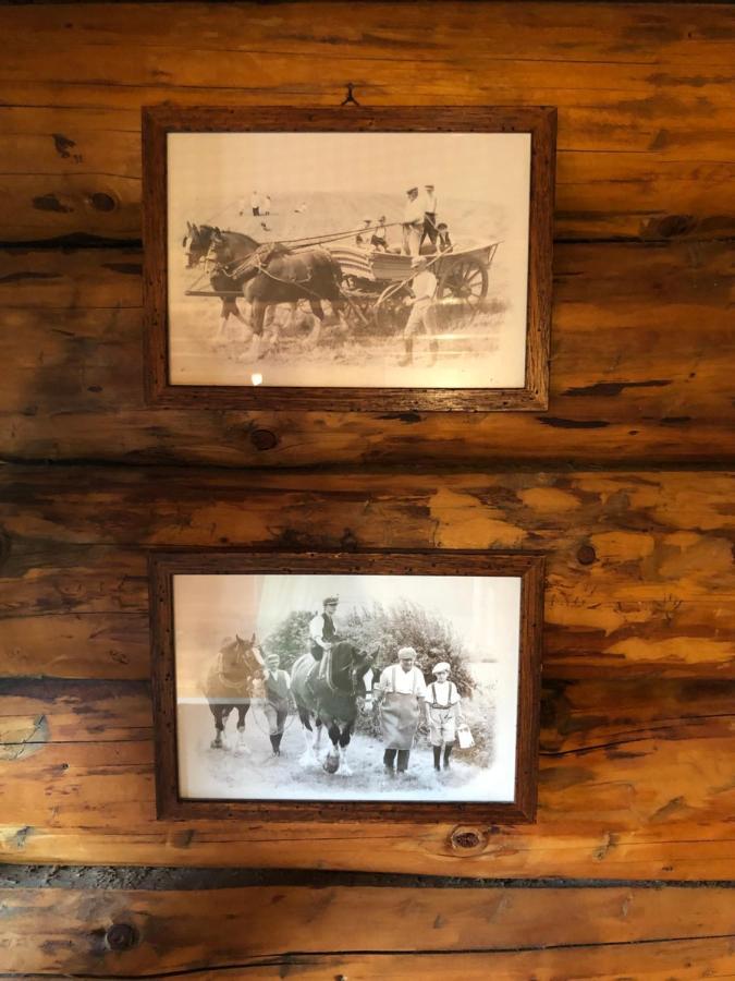 B&B Le Corone - Chalet Nel Bosco Cavalo Bagian luar foto