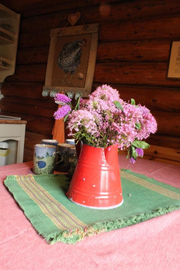 B&B Le Corone - Chalet Nel Bosco Cavalo Bagian luar foto
