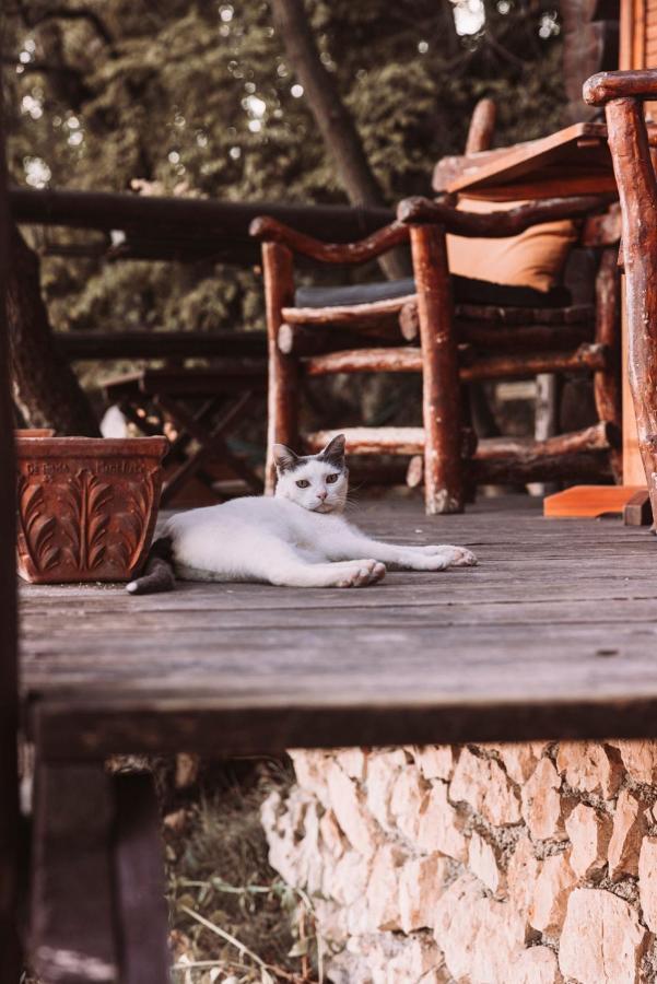 B&B Le Corone - Chalet Nel Bosco Cavalo Bagian luar foto