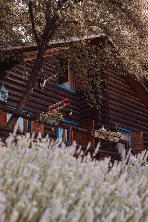 B&B Le Corone - Chalet Nel Bosco Cavalo Bagian luar foto